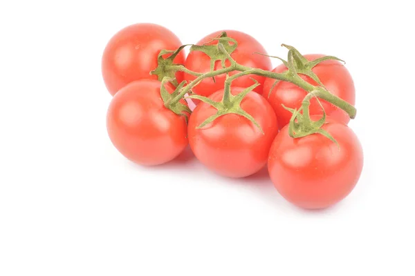 Bund frischer Tomaten. isoliert auf weißem Hintergrund — Stockfoto