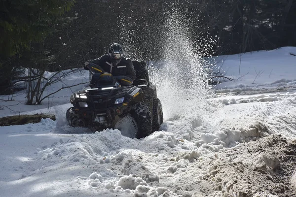 Bretcu, Roemenië - 28 februari: Pall Andor opleiding whit een can-am-quad — Stockfoto