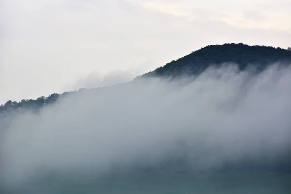 Kabut setelah lanskap hujan — Stok Foto