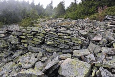 taş duvardan eski askeri sığınak (Bretcu, Romanya)
