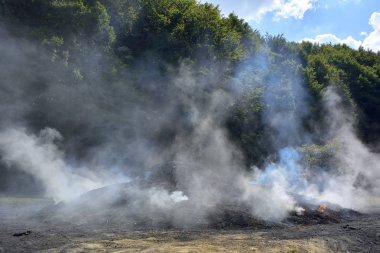 Ormanda kömür üretiminin geleneksel yolu