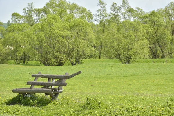 Bangku kosong di rumput hijau — Stok Foto