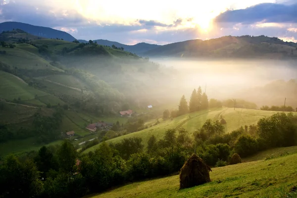 Красивый альпийский луг с зеленой травой. Восход солнца. ландшафт на диких холмах Трансильвании. Хольбав. Румыния. Низкий ключ, темный фон, точечное освещение . — стоковое фото