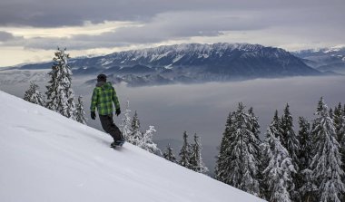 Köknar kış manzara Postavaru dağ, Poiana Brasov resort, Romanya şiddetli kar yağışı kapsadığı Orman ağaçları.