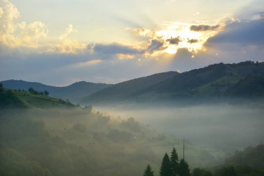 Yeşil otlar ile güzel dağ çayır. Güneş doğuyor. vahşi Transilvanya tepelerde manzara. Holbav. Romanya. Anahtar, koyu arka plan düşük, spot aydınlatma.