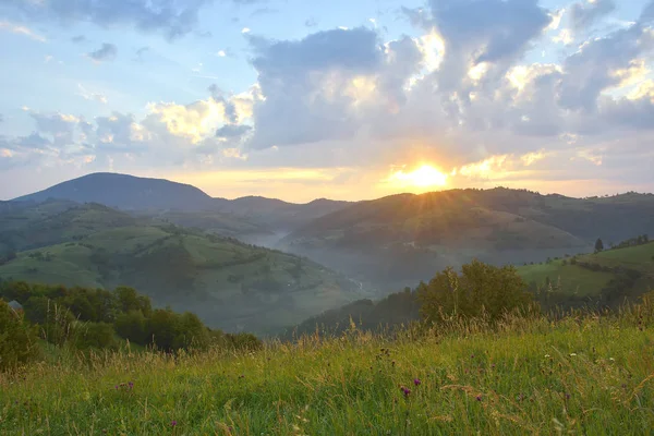 Bonito prado alpino com grama verde. Nascer do sol. paisagem em colinas silvestres. Holbav. Roménia. Tecla baixa, fundo escuro, iluminação local . — Fotografia de Stock