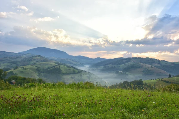 Bonito prado alpino com grama verde. Nascer do sol. paisagem em colinas silvestres. Holbav. Roménia. Tecla baixa, fundo escuro, iluminação local . — Fotografia de Stock