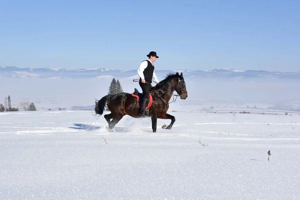 若い男が馬を冬に屋外に乗って — ストック写真