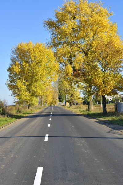 Jalanan dan hari musim gugur yang cerah . — Stok Foto