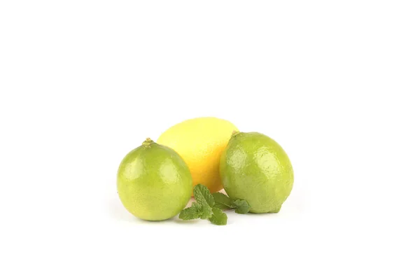 Citrus på vit bakgrund — Stockfoto