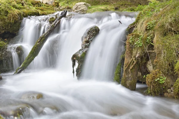 Hermosa cascada del bosque profundo — Foto de Stock