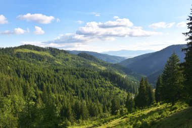 Dağ vadi yeşil tepelerde. Bahar manzara
