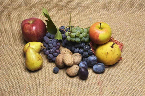 Осінні фрукти, кольорові прикраси — стокове фото
