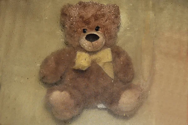 비가 하는 동안 창 옆에 앉아 갈색 곰 — 스톡 사진
