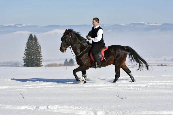 若い男が馬を冬に屋外に乗って — ストック写真