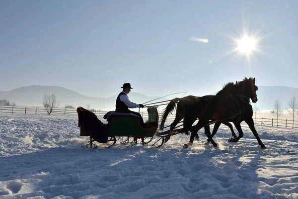 冬の屋外の馬が引くそりの男 — ストック写真