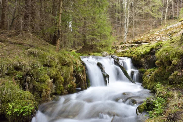 Hermosa cascada del bosque profundo — Foto de Stock