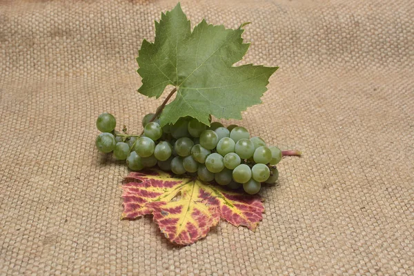 Grapes on rustic background — Stock Photo, Image