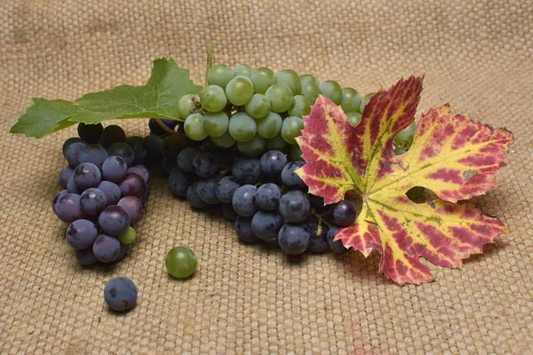Виноград на деревенском фоне — стоковое фото