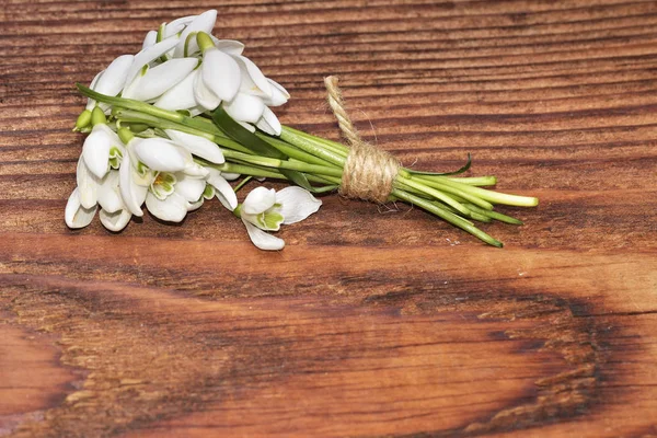 Bahar beyaz kardelen çiçekleri