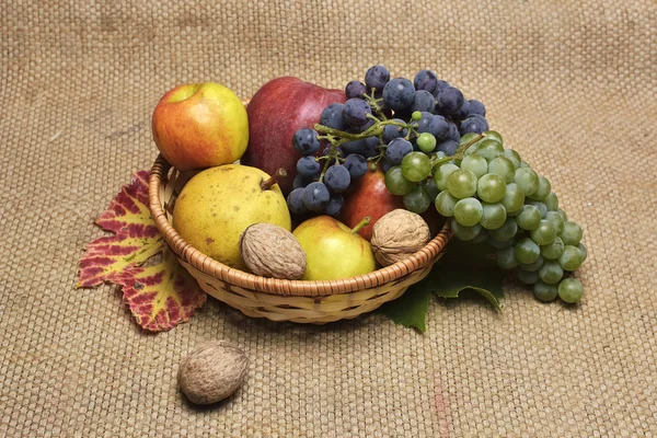 Асорті з осінніх фруктів — стокове фото