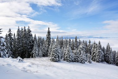 kış manzara dağlar Karpatlar