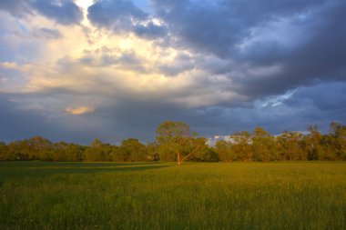 Gün batımı bulutlar ve alan ile güzel manzara