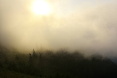 Dağlarda sis. Ceahlau, Romanya