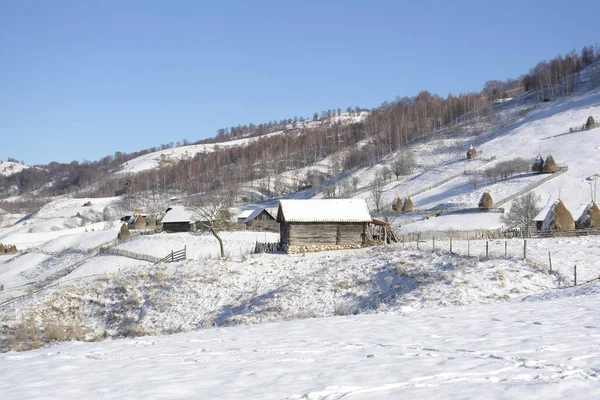 野生のトランシルヴァニアの丘の上、冬の晴れた日は凍結。Fundatura Ponorului。ルーマニア。低いキー、暗い背景、スポット照明、豊富な巨匠 — ストック写真