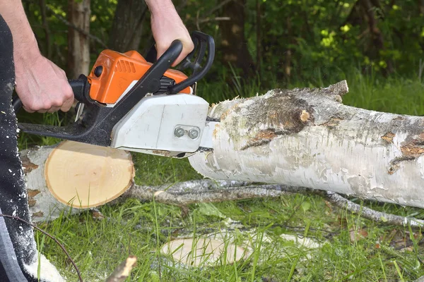 Homem corta árvore com motosserra — Fotografia de Stock