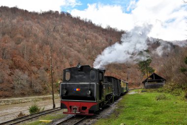 Çalışan lokomotif Mocanita (Maramures, Romanya, ahşap yakma).