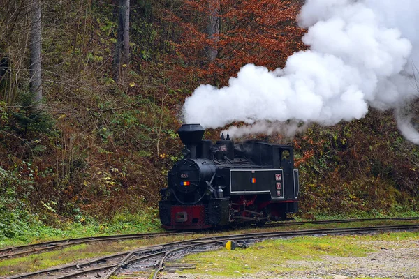 Ejecución de la locomotora de leña de Mocanita (Maramures, Rumania ). — Foto de Stock