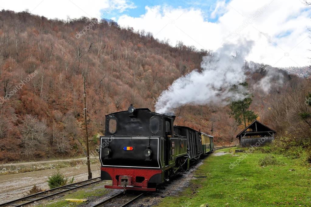 Running wood-burning locomotive of Mocanita (Maramures, Romania).