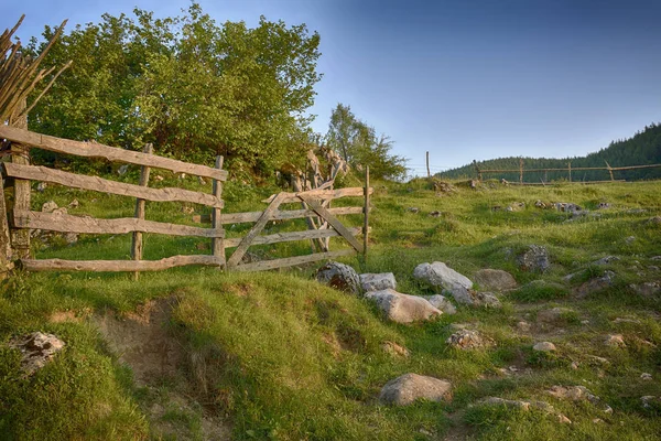 Berglandschap in Zomerochtend - Fundatura Ponorului, Roemenië — Stockfoto