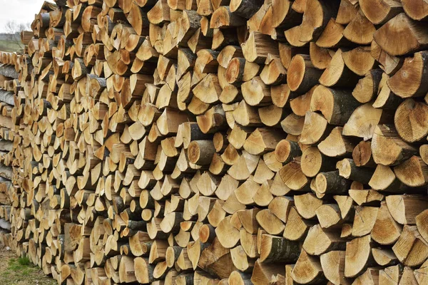 The Stack of firewood — Stock Photo, Image