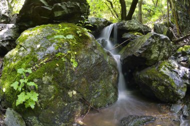 Küçük dağ şelale orman yosun kaplı buzlu