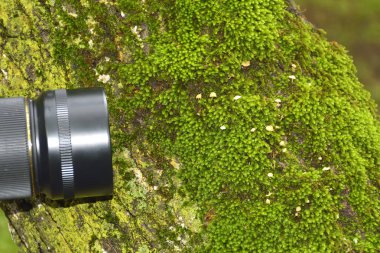 kamera makro objektif ateş