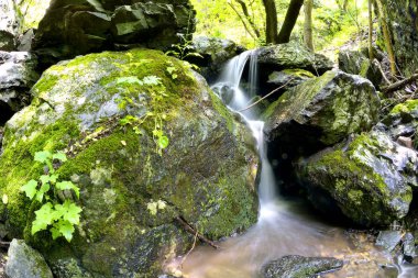 Küçük dağ şelale orman yosun kaplı buzlu