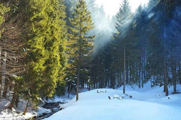 Beautiful winter snowy landscape — Stock Photo, Image