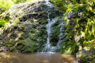 Küçük dağ şelale orman yosun kaplı buzlu