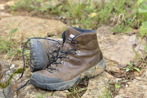Walking shoes. All terrain shoes — Stock Photo, Image
