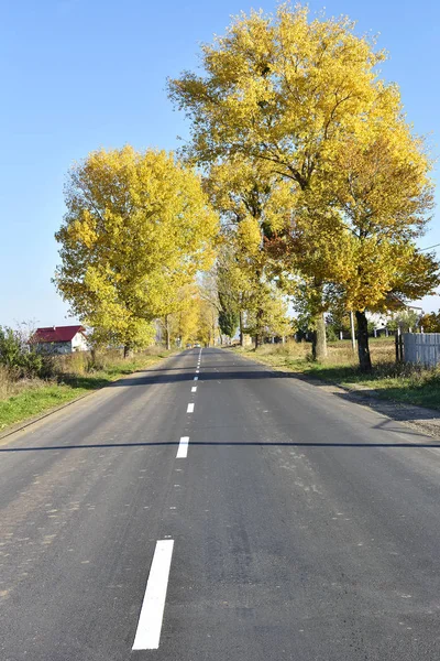Pemandangan musim gugur dengan jalan dan pohon berwarna indah — Stok Foto