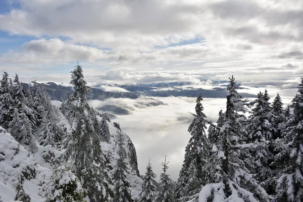 Montañas Postavaru en invierno. La altitud del pico es de 1799 metros. Poiana Brasov, Rumania —  Fotos de Stock