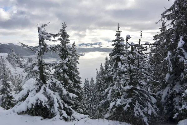 冬の postavaru 山。ピークの高度は 1799 メートルです。ポイアナ ブラショフ、ルーマニア — ストック写真
