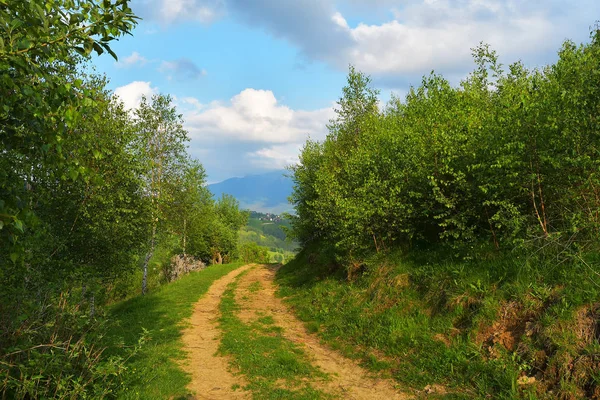 Pemandangan Alpen yang menakjubkan dan lapangan hijau, Holbav, Transylvania, Rumania, Eropa — Stok Foto