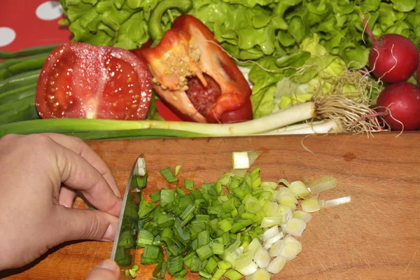 Fare insalata di verdure fresche — Foto Stock