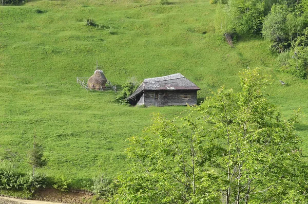 Venkovská krajina. pole a starý dům — Stock fotografie