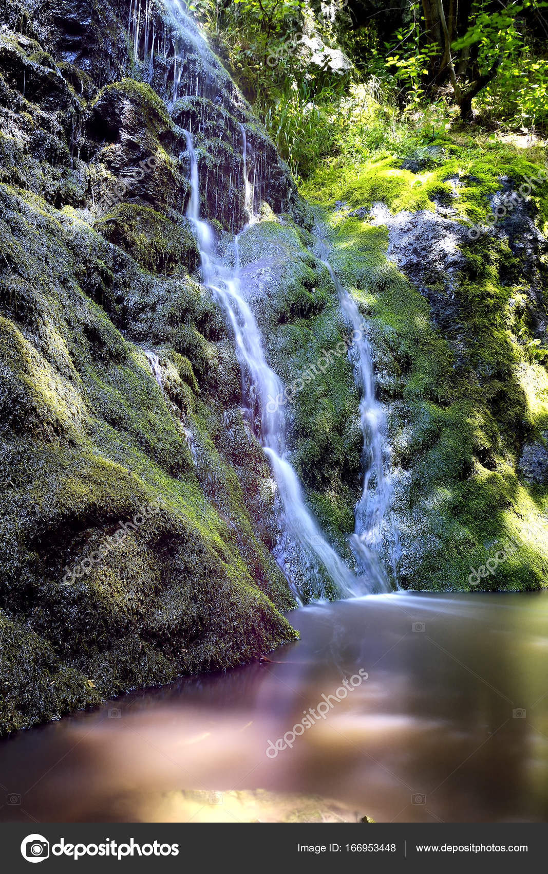 岩の上の小さな山の滝は 森の中の苔で覆われて ニックカラー Efex Pro の処理 ストック写真 C Brszattila Gmail Com