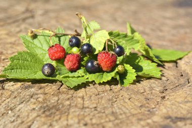 Siyah frenk üzümü ve yaprak ile ahşap üzerine yabani çilek