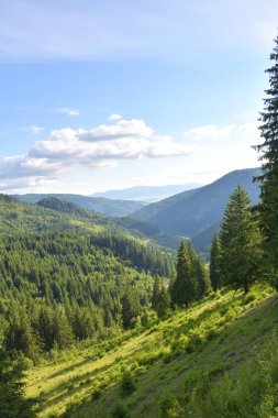 Romanya 'nın Cheile Bicazului kentindeki dağ manzarası